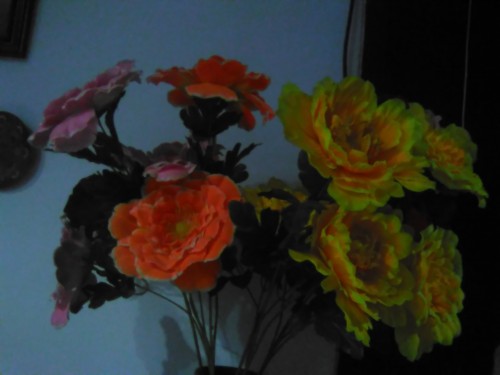 Review Smartphone Android 4G Murah: Bolt PowerPhone E1 8 Hasil Kamera Bolt Powerphone E1 (1)