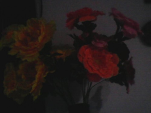 Hasil kamera Lenovo Tab 2 A7-30 (4)