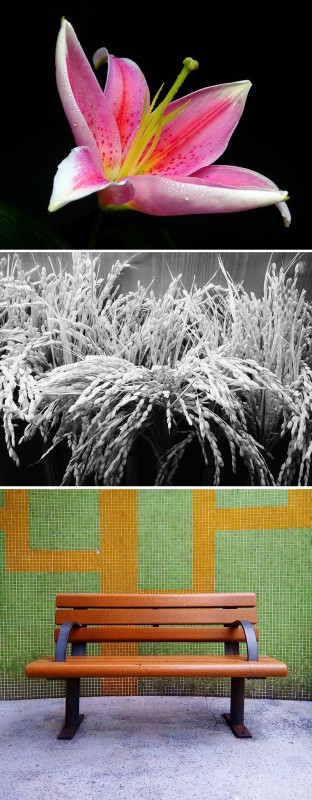 Alcatel Resmi Luncurkan Flash 2 2 Hasil kamera OneTouch Flash 2