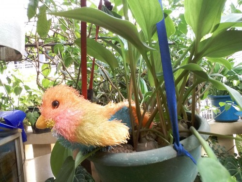 Review Samsung Galaxy J5 Bundling Bolt Super 4G LTE 7 Hasil Kamera Galaxy J5 (2)