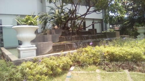 Infinix Hot 2 - Hasil kamera Depan Outdoor