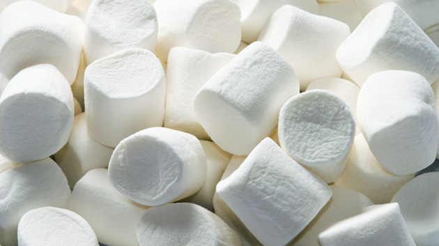Perangkat baru Marsmallow harus Terenkripsi 13 Marshmallows