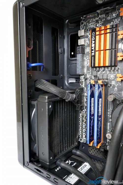 Review VenomRX Omega 6 Review VenomRX Omega 19