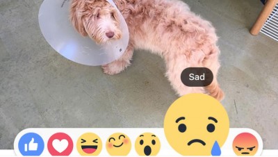 Tombol ‘Like‘ Facebook Akan Tambah Emoji 1 sad