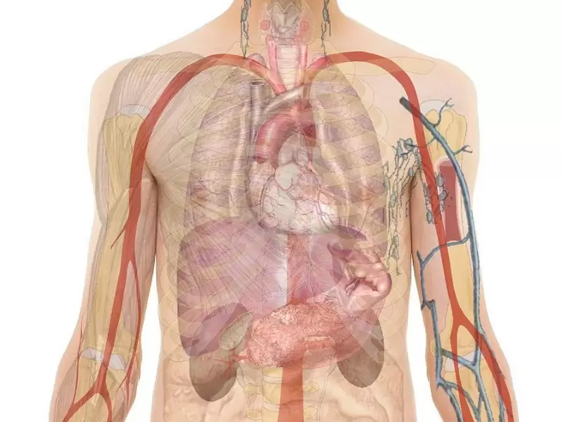Perusahaan India Kembangkan 3D Printing untuk Jaringan Hati 10