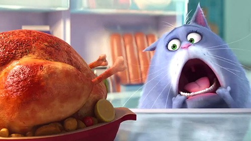 Film Akan Datang 2016 - Part 2 5 the secret life of pets