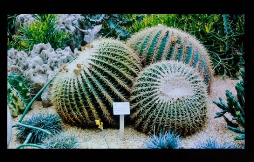 Siap Bersaing, JDI Genjot Produksi Panel OLED Smartphone di 2018 1 Panel JDI