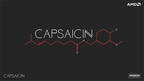 AMD Vega dan Navi Siap Menjadi Penerus GPU Polaris 1 AMD Capsaicin Logo