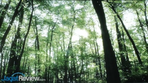 Hands-On Review Proyektor BenQ W2000 11 BenQ W2000 - Picture Mode Bright - Video