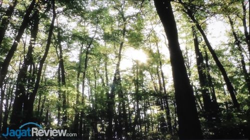 Hands-On Review Proyektor BenQ W2000 14 BenQ W2000 - Picture Mode Vivid - Video