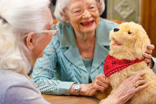 Hasbro Buat Robot Anak Anjing Peliharaan 1 Hasbro Robot 01