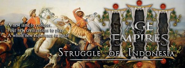 struggle of indonesia