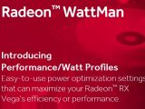 Wattman Power 1