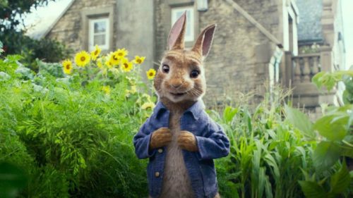 peter rabbit
