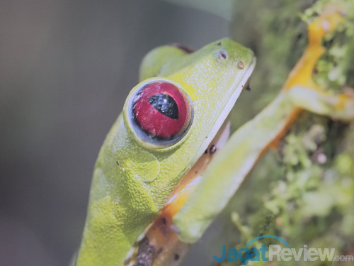 LG 32UD99 W HDR 02 On HDR Cinema