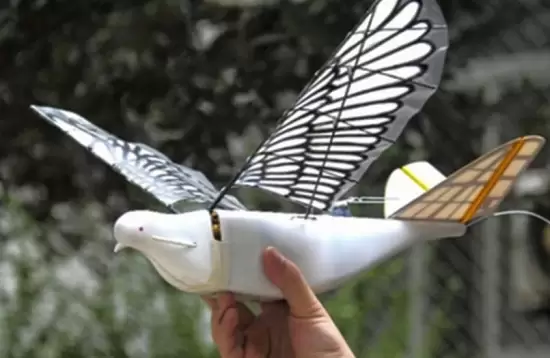 China Kembangkan Drone Berbentuk Burung Merpati 1 Dove 01