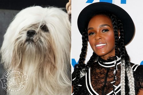 Tampilan Perdana Live Action  janelle