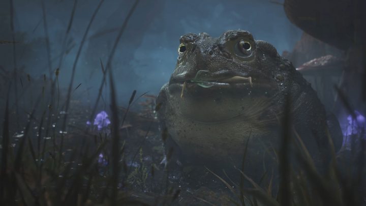 Fable Baru Akan Hadirkan Elemen Multiplayer 1 fable series x