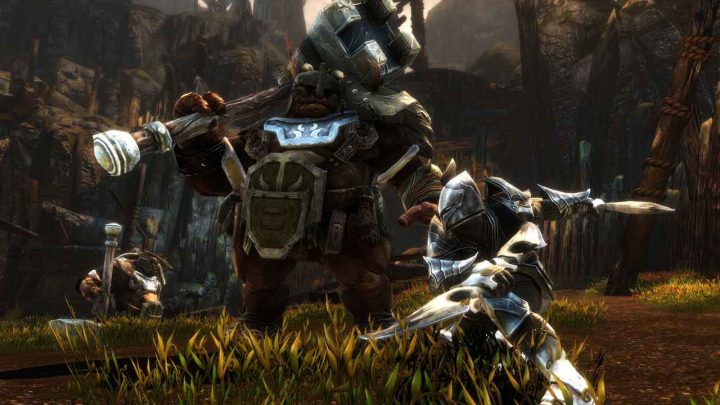 Spesifikasi PC untuk Kingdoms of Amalur: Re-Reckoning 11 kingdoms of amalur re reckoning 1