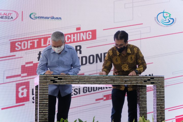 DSCF5335