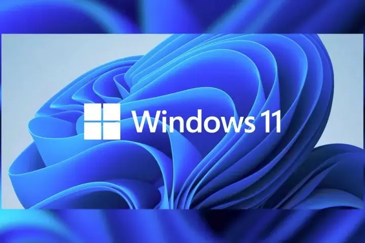 Windows 11