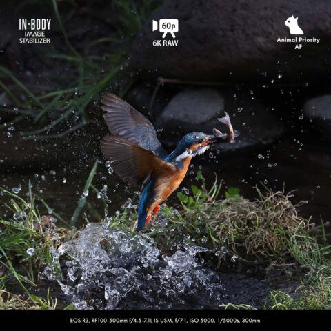 Canon Luncurkan Kamera Flagship EOS R3 di Indonesia 4 Canon EOS R3 Indonesia