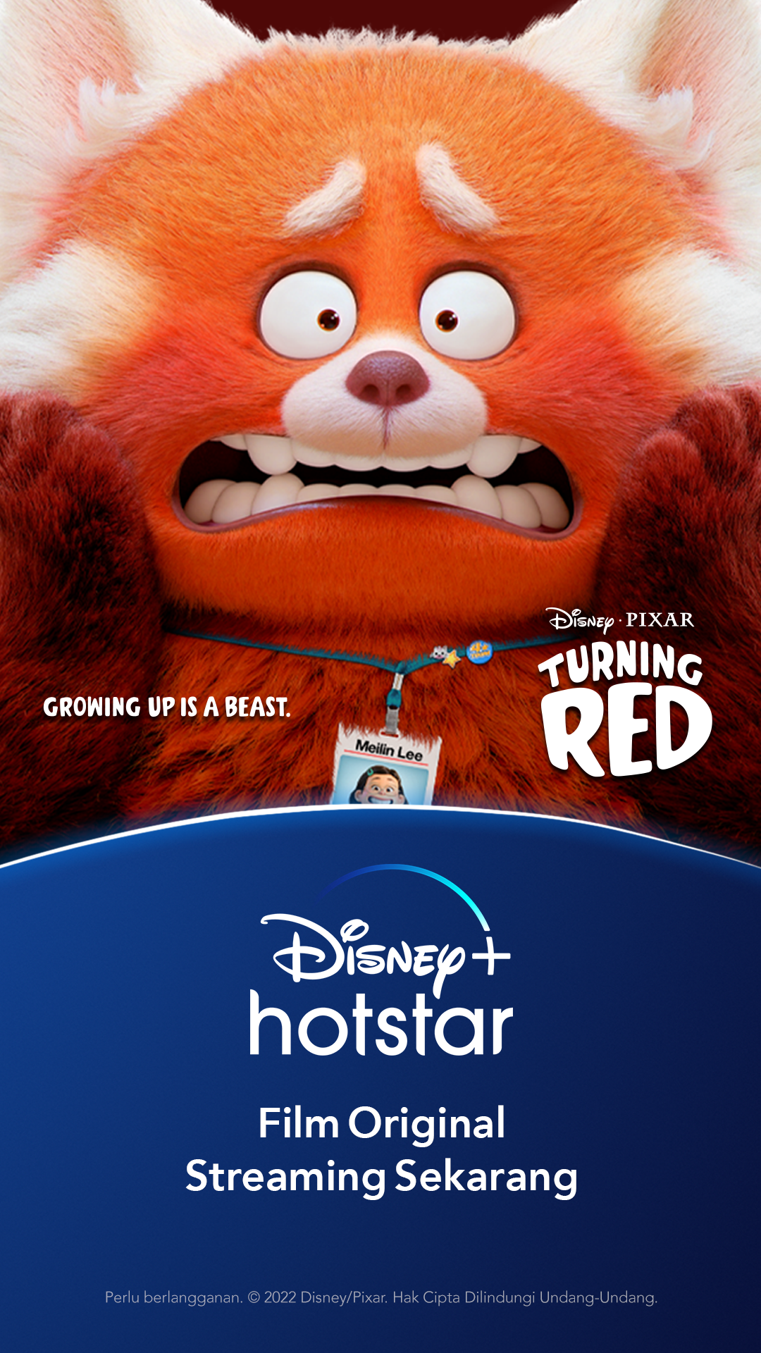 Direct Release: Disney and Pixar’s “Turning Red” Jadi Film dengan Penayangan Perdana Terbesar di Disney+ Secara Global 10 Disney and Pixars Turning Red Key Art