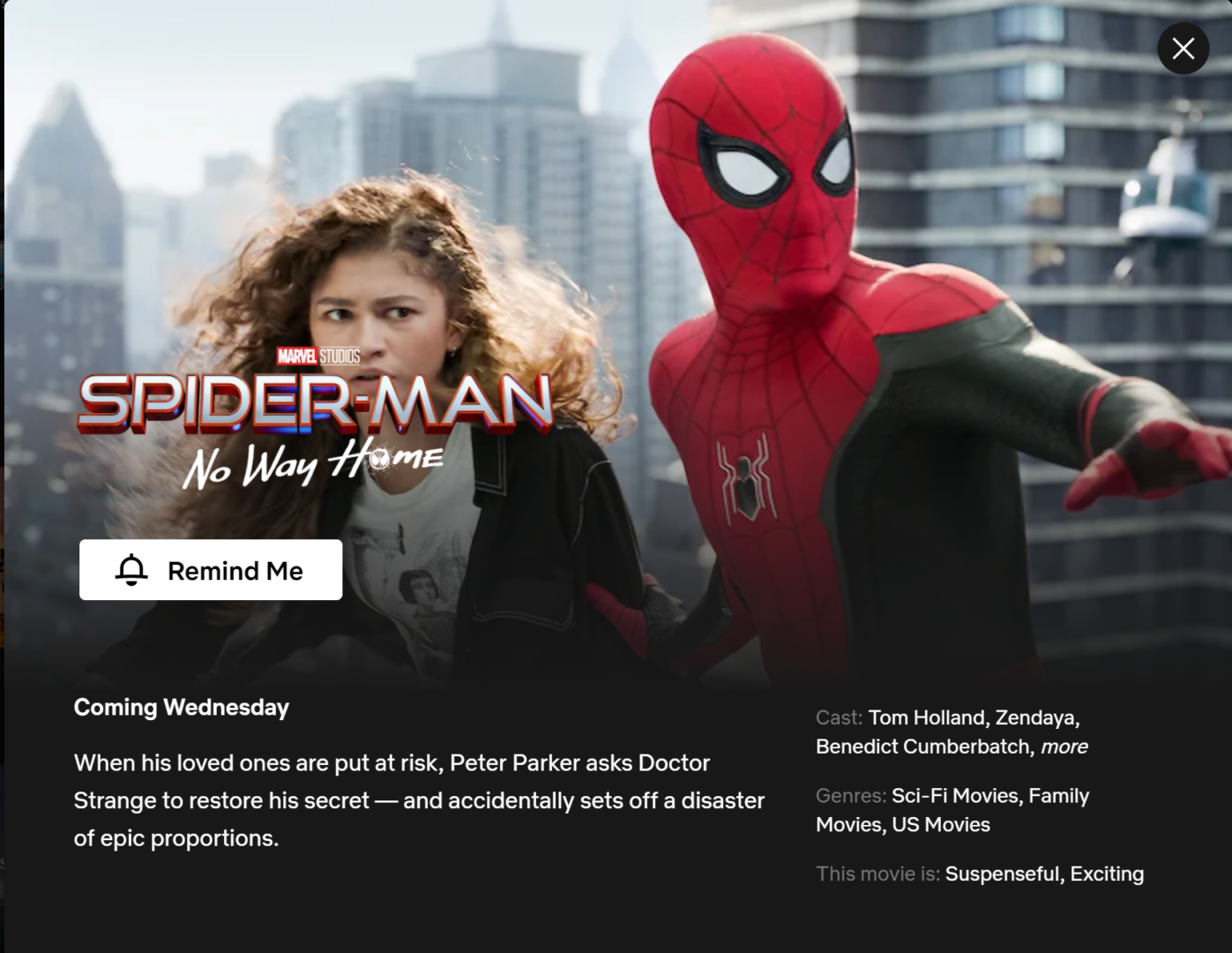 Spider-Man: No Way Home on Netflix July 13