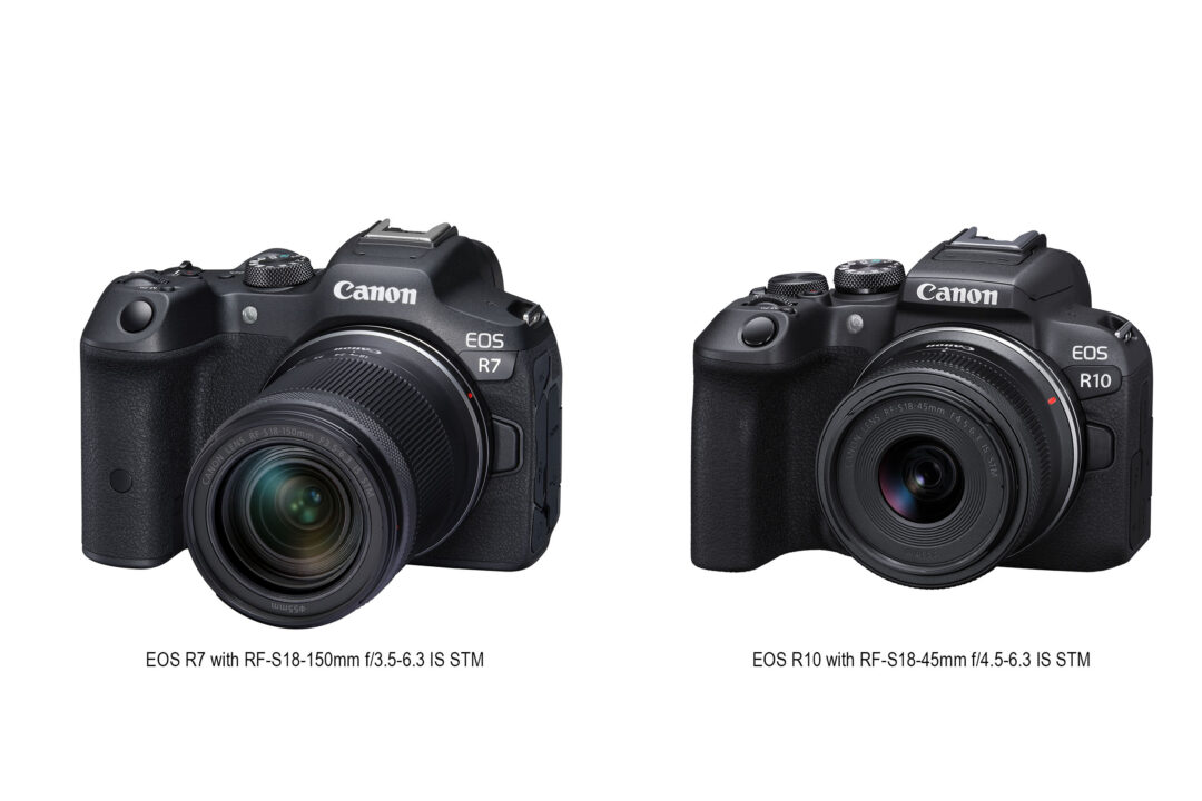 canon EOS R series