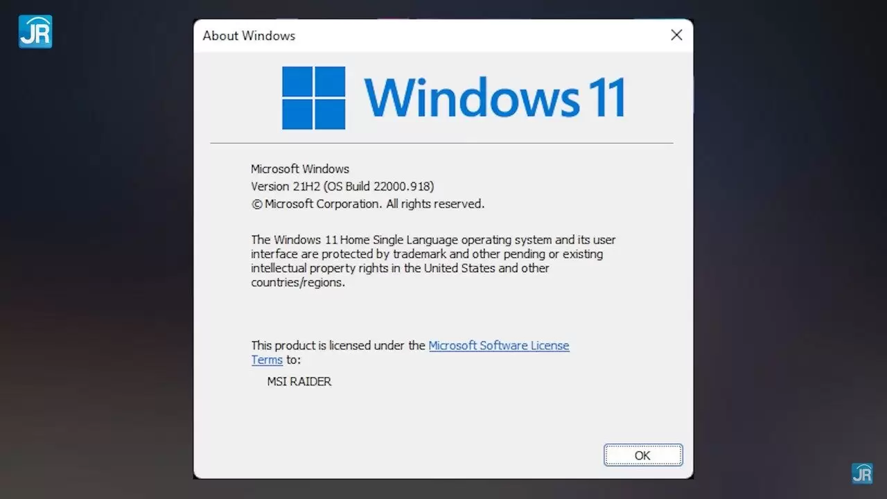 Review MSI Raider GE67 HX