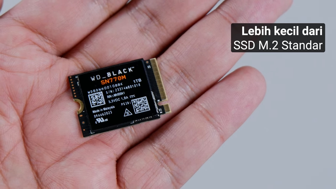 Review WD_Black SN770M: SSD Mungil, Kapasitas Besar, Kencang untuk Gaming 2 WD Black SN770M 14