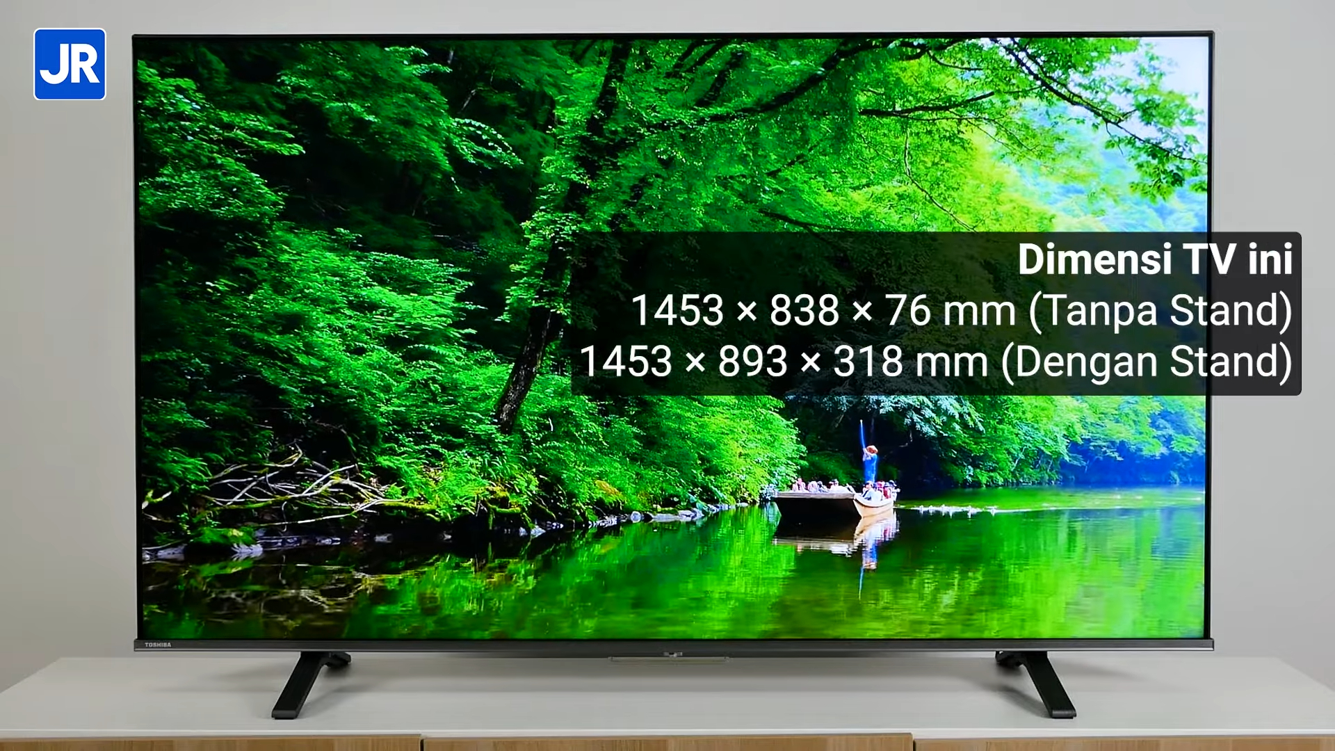 Toshiba 65M450N 10