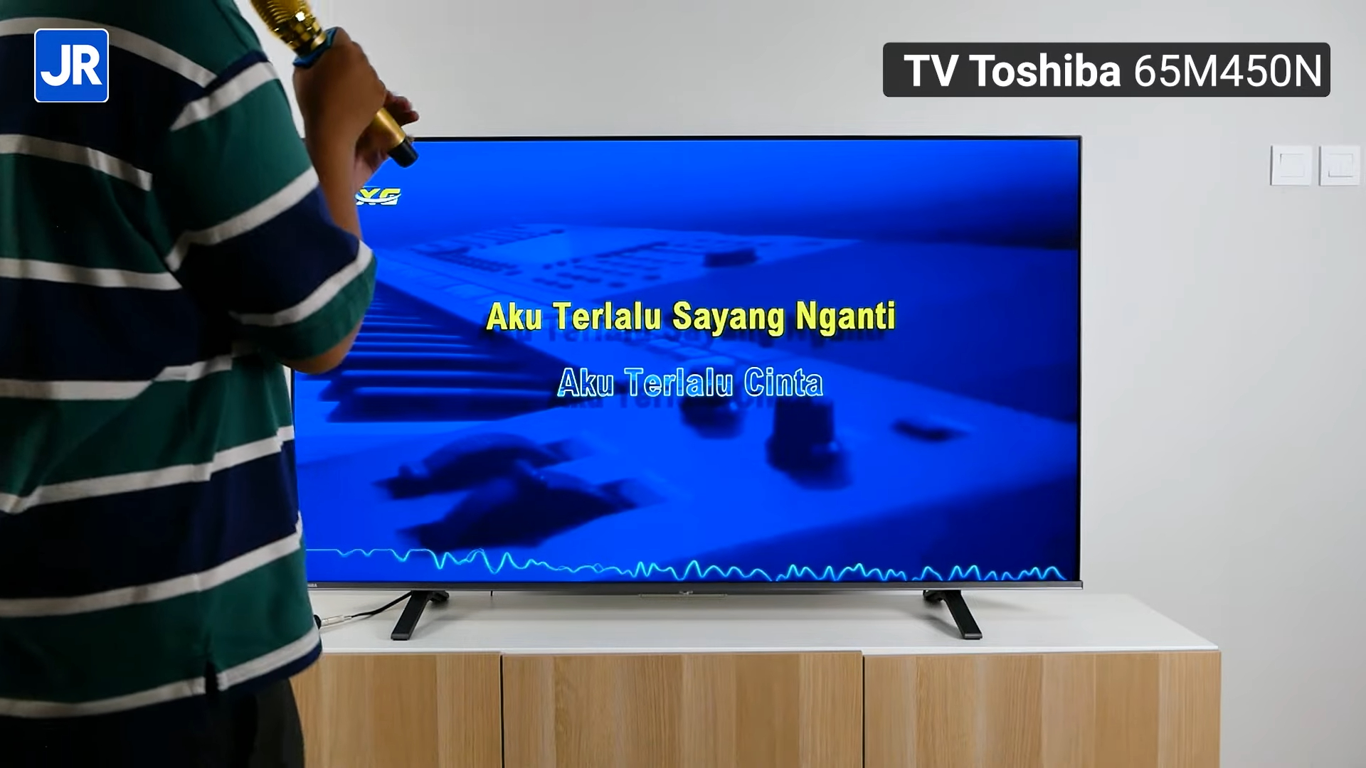 Toshiba 65M450N 19