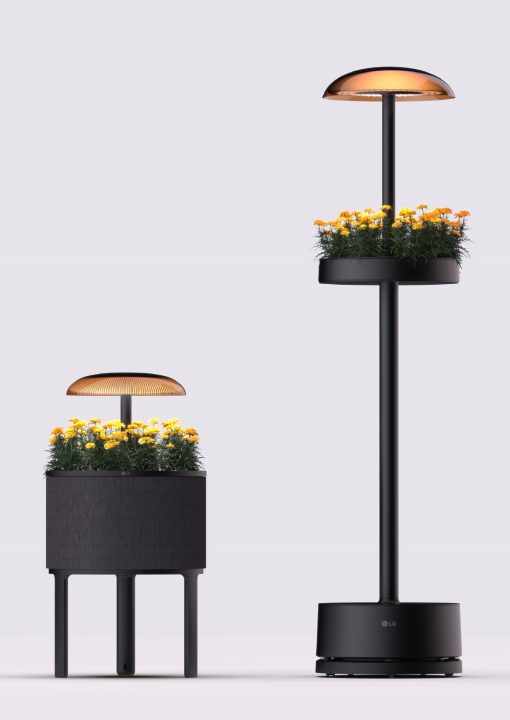 LG Bakal Pamer Alat Berkebun Modern Indoor di CES 2025 2 Alat berkebun Modern LG CES 2025