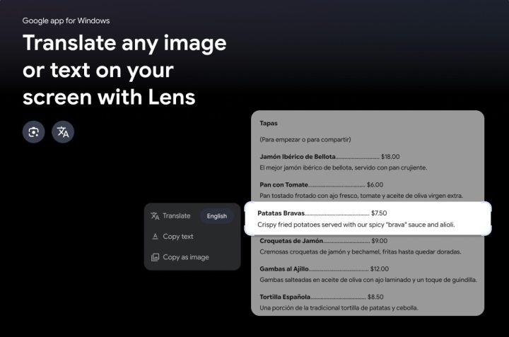 Google App for Windows Dirilis, Permudah Pencarian File di PC Windows 3 Translate