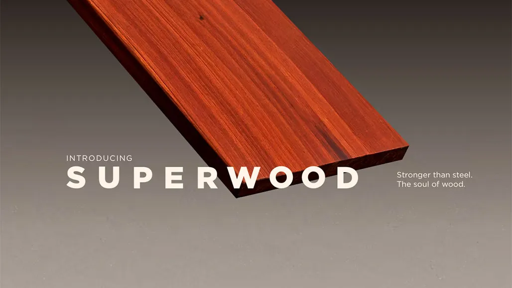 Superwood: Kayu yang 10x Lebih Kuat dari Baja! 1 superwood