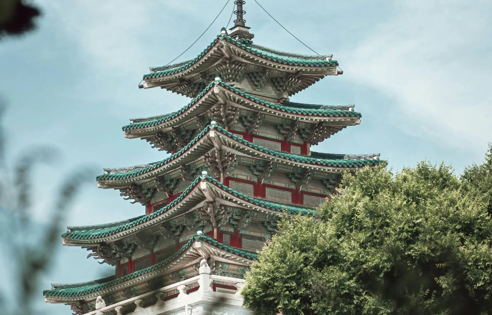 pexels hoffman11 25956386