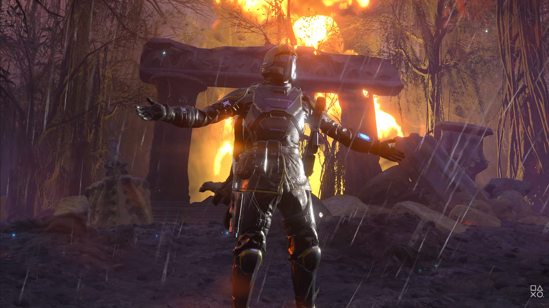 dfd9413d3b934c29d81bd9e76d69253a