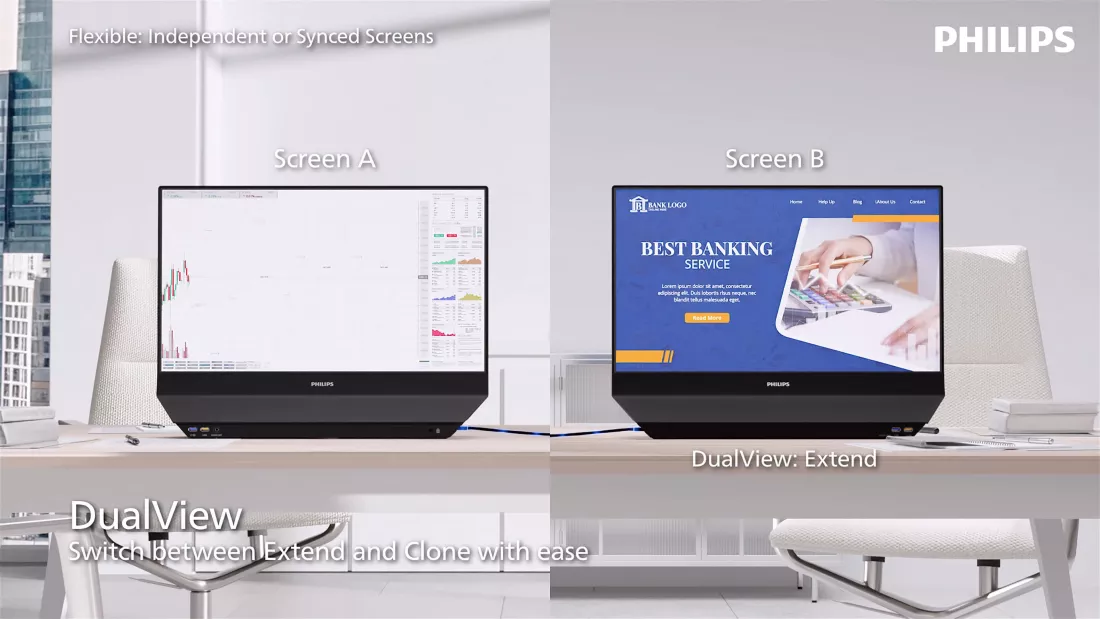 Philips Monitor Dual View