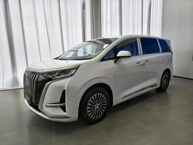 BYD DANZA NEW D9