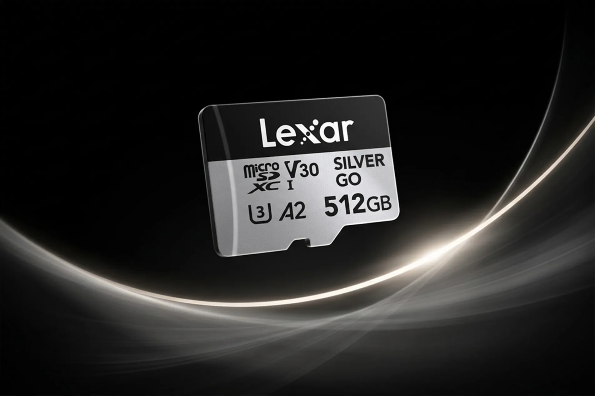 Lexar Professional SILVER GO