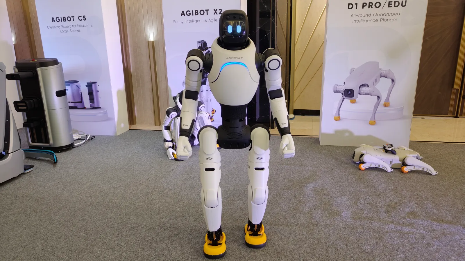 humanoid robot