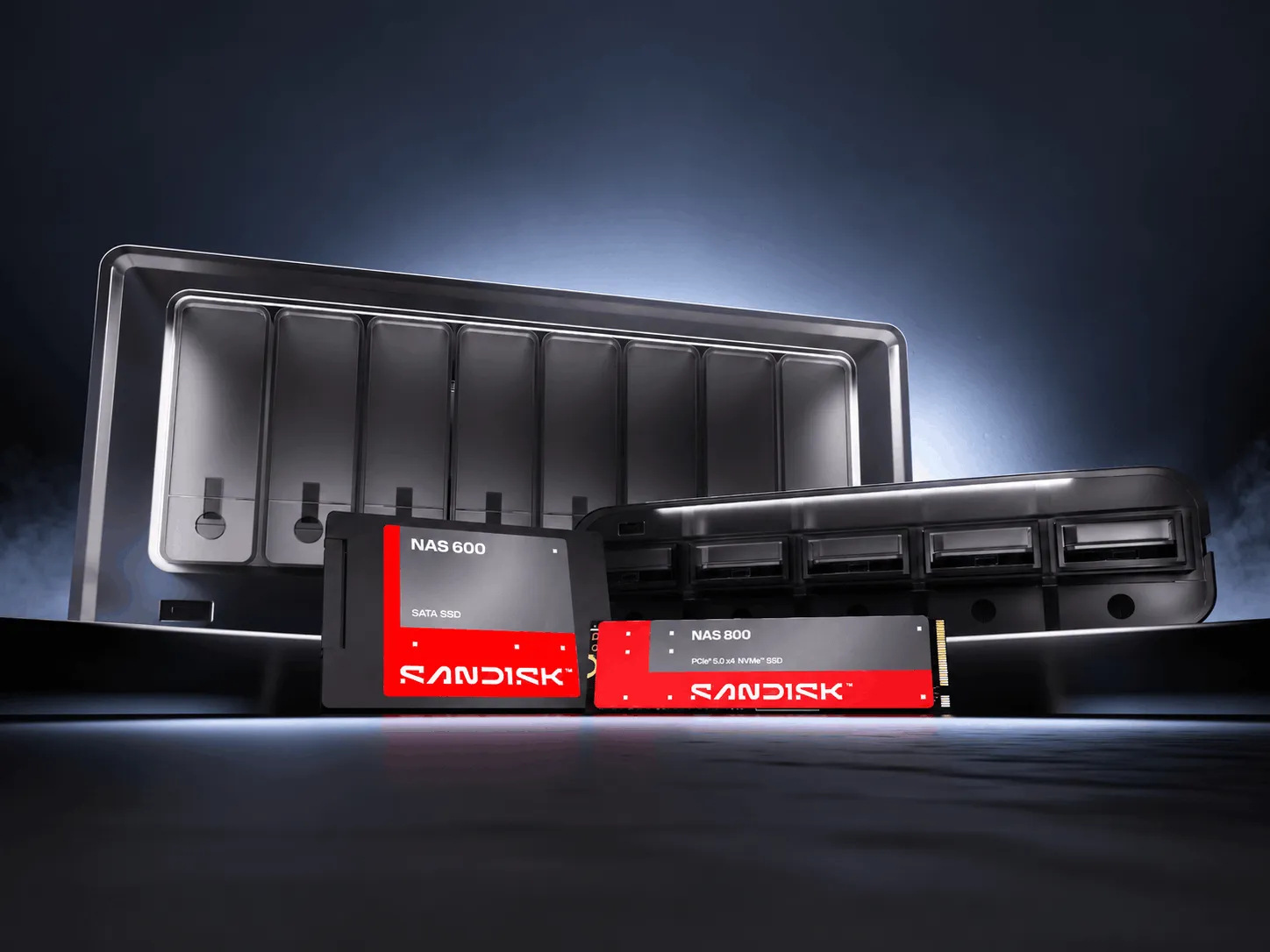 sandisk nas 600 nas 800 ssd